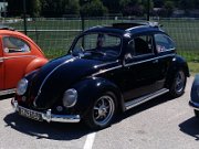 Beetle Show Rioz (13)